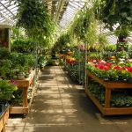 Garden World - Green House
