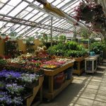 Garden World - Green House