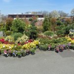 Garden World - NYC Plant Nursery