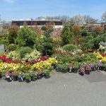 Garden World - NYC Plant Nursery