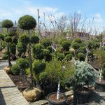 Garden World - NYC Plant Nursery