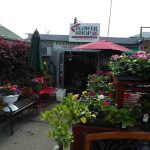 Garden World - NYC Plant Nursery