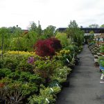 Garden World - NYC Plant Nursery
