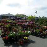 Garden World - NYC Plant Nursery