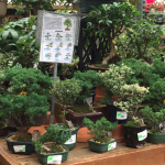 Garden World - Green House
