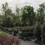 Garden World - NYC Plant Nursery