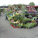 Garden World - NYC Plant Nursery