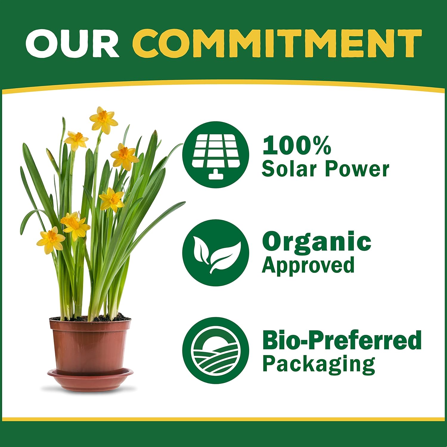 Espoma Organic Bone Meal Fertilizer 4-12-0