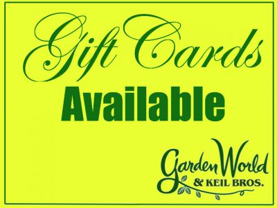 $25-$100 Gift Cards