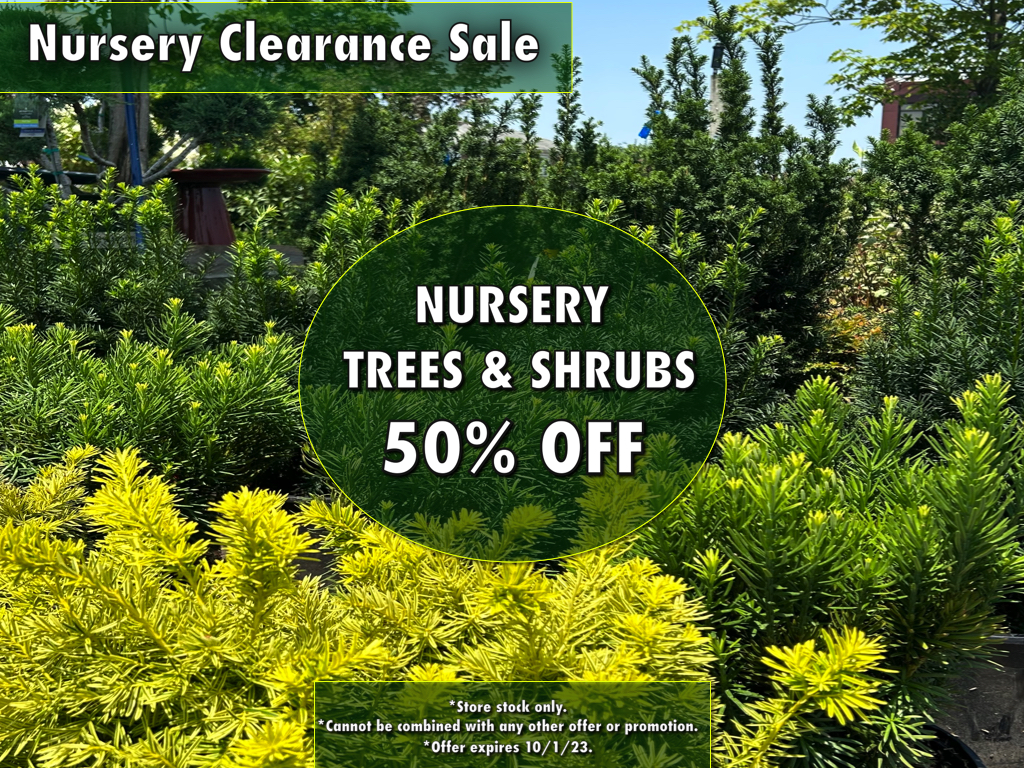 NYC Garden Center & Nursery NYC Garden Supply Garden World