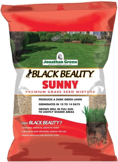 Jonathan Green Black Beauty Sunny Grass Seed (1lb)