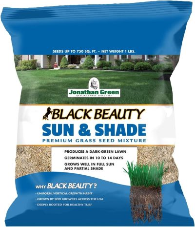 Jonathan Green Black Beauty Sun & Shade Grass Seed (1lb)