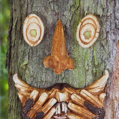Scared Tree Face