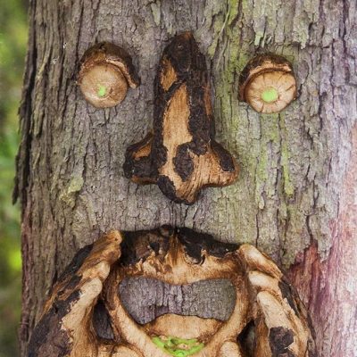 hey there tree face