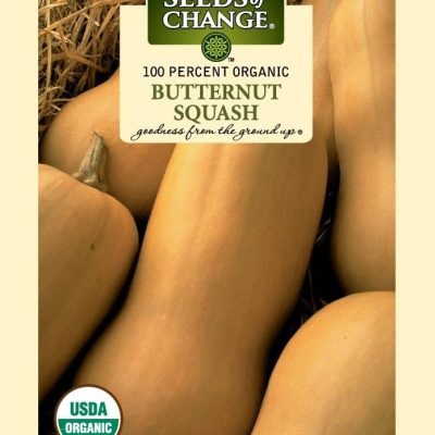 Butternut Winter Squash seed packet