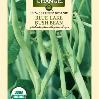 Blue Lake Bush Bean seeds