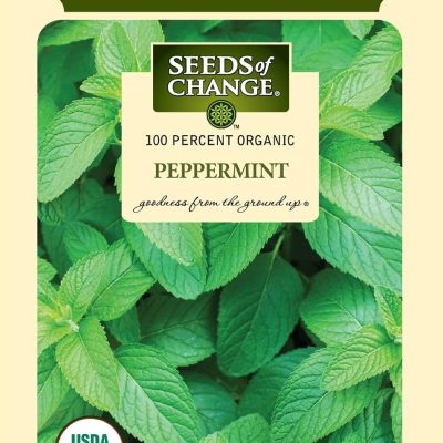 Seeds of Change Peppermint seeds