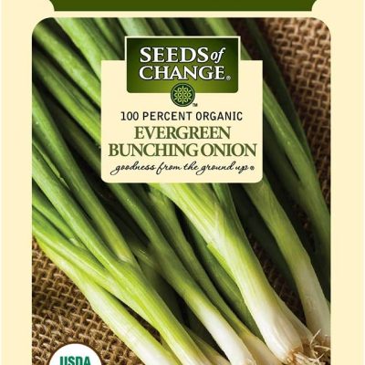 Seeds Of Change Evergreen Bunching Onion