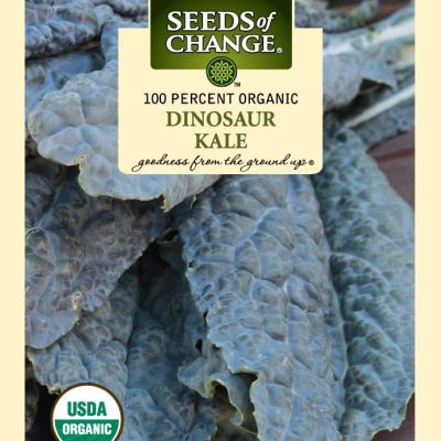 Seeds of Change Dinosaur Kale