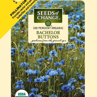 Seeds of Change Bachelor Buttons Flower