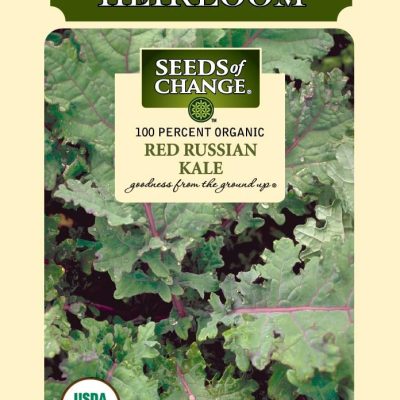 Seeds of Change Red Russian Kale