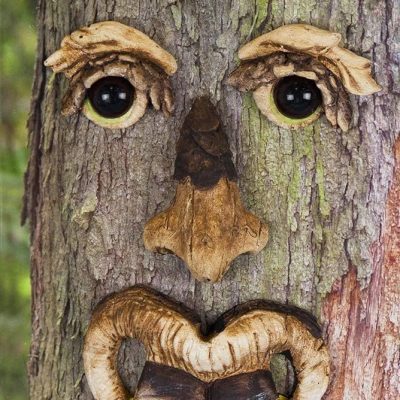 Bucky Tree Face