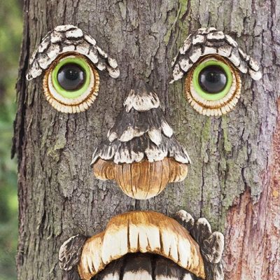 Tree Man Tree Face