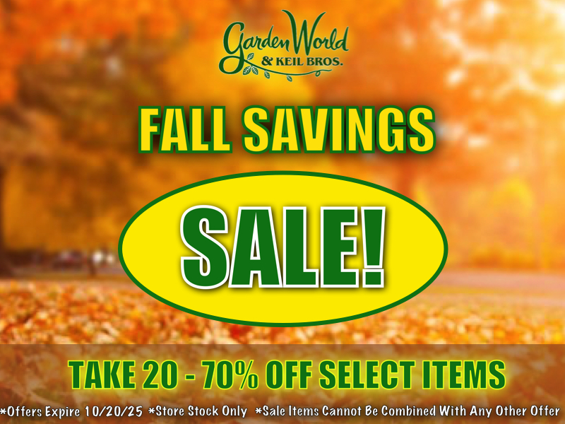 FALL CLEARANCE SALE