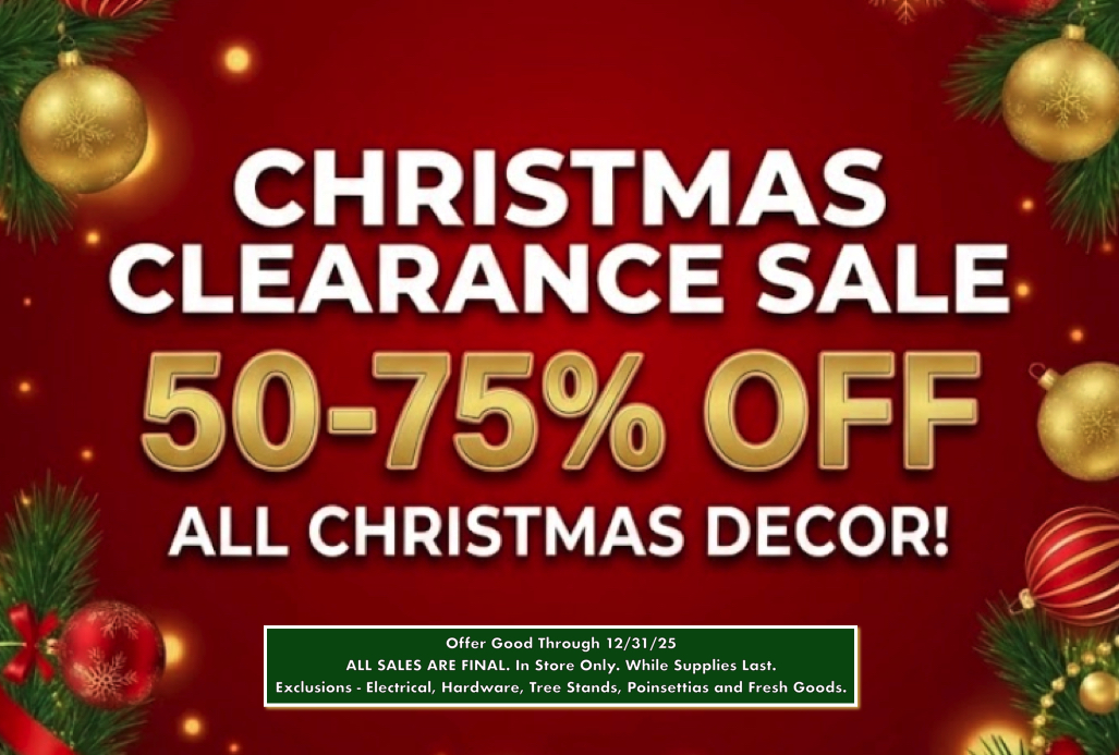 Christmas clearance sale