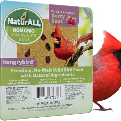 HUNGRYBIRD NaturAll Non-GMO, High-Protein Berry Suet Cake for Outside Wild Bird Feeders