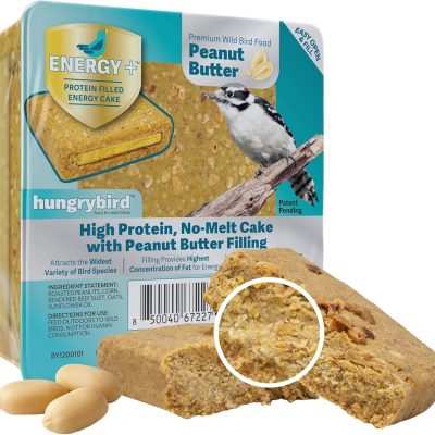 HUNGRYBIRD No-Melt High-Protein Suet Cake with Peanut Butter Filling