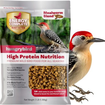 HUNGRYBIRD Energy Complete, 3lb - High-Protein Mealworm Suet Bites for Outside Wild Birds