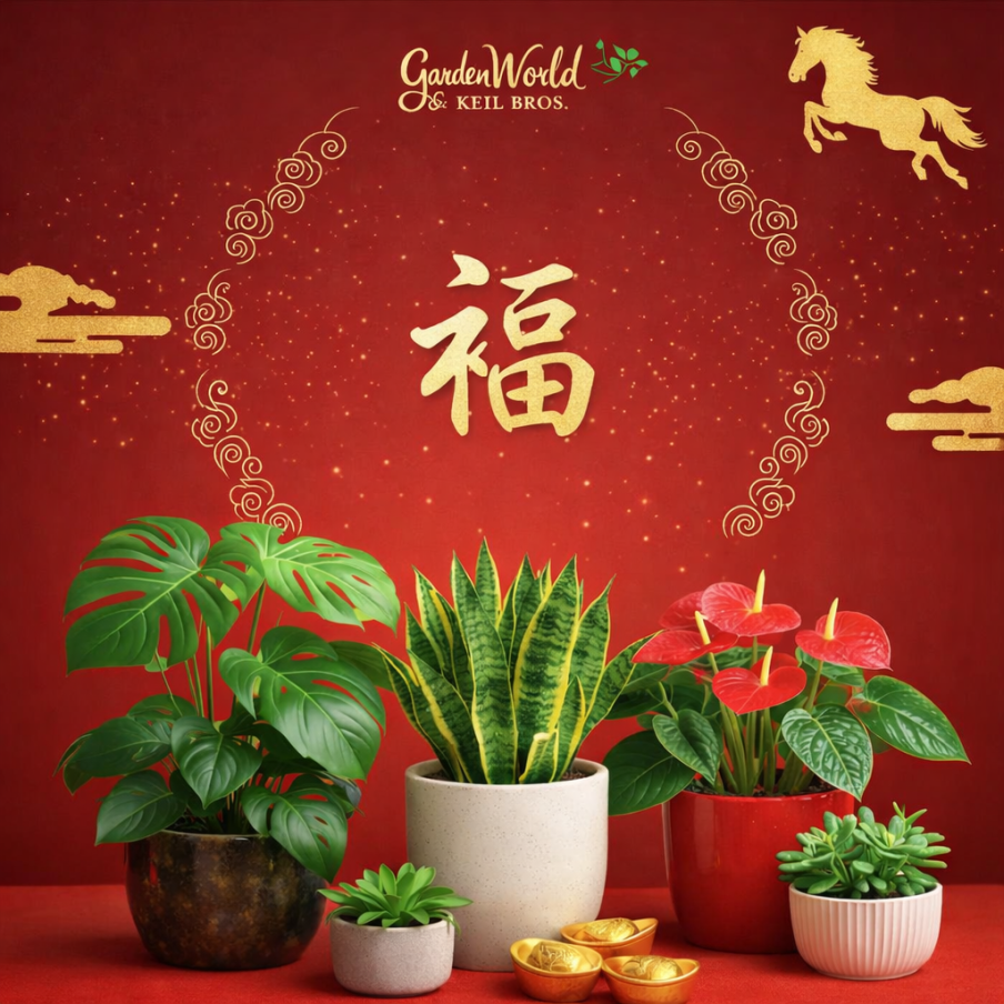 Lunar New Year 2026