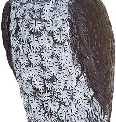 Dalen Rotating Head Owl