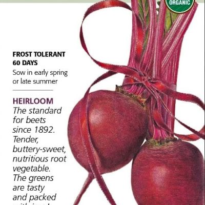 Botanical Interests Organic Detroit Dark Red Beet Seeds