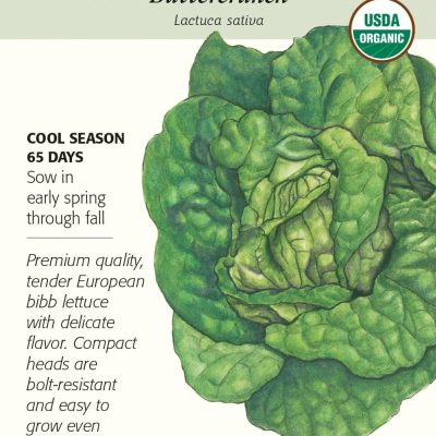 Botanical Interests Buttercrunch Butterhead Lettuce Seeds