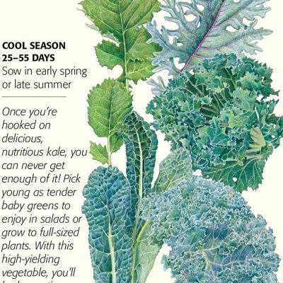 Botanical Interests Premier Blend Kale Seeds