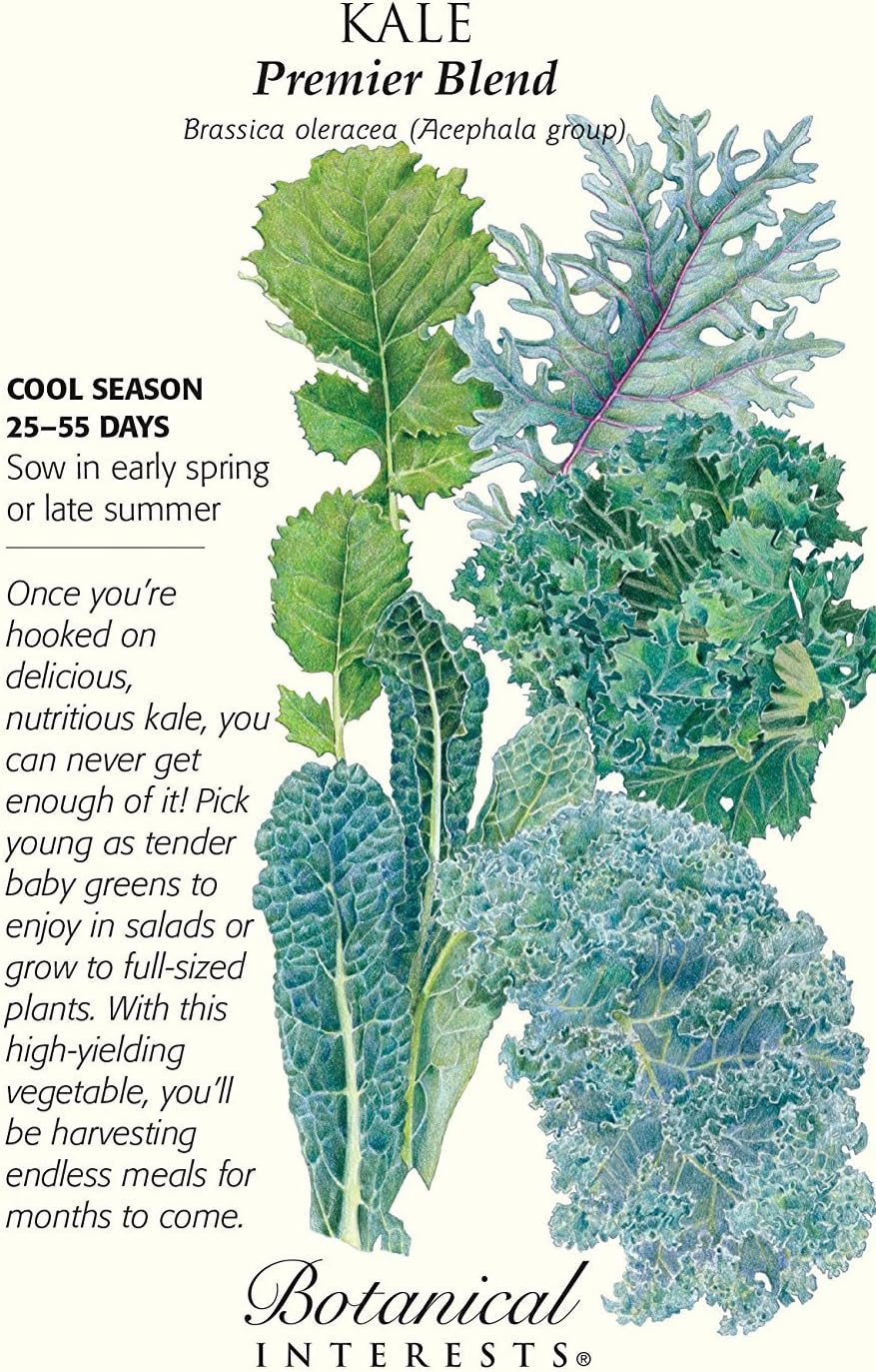 Botanical Interests Premier Blend Kale Seeds
