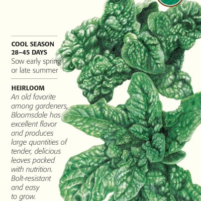 Botanical Interests Bloomsdale Spinach Seeds