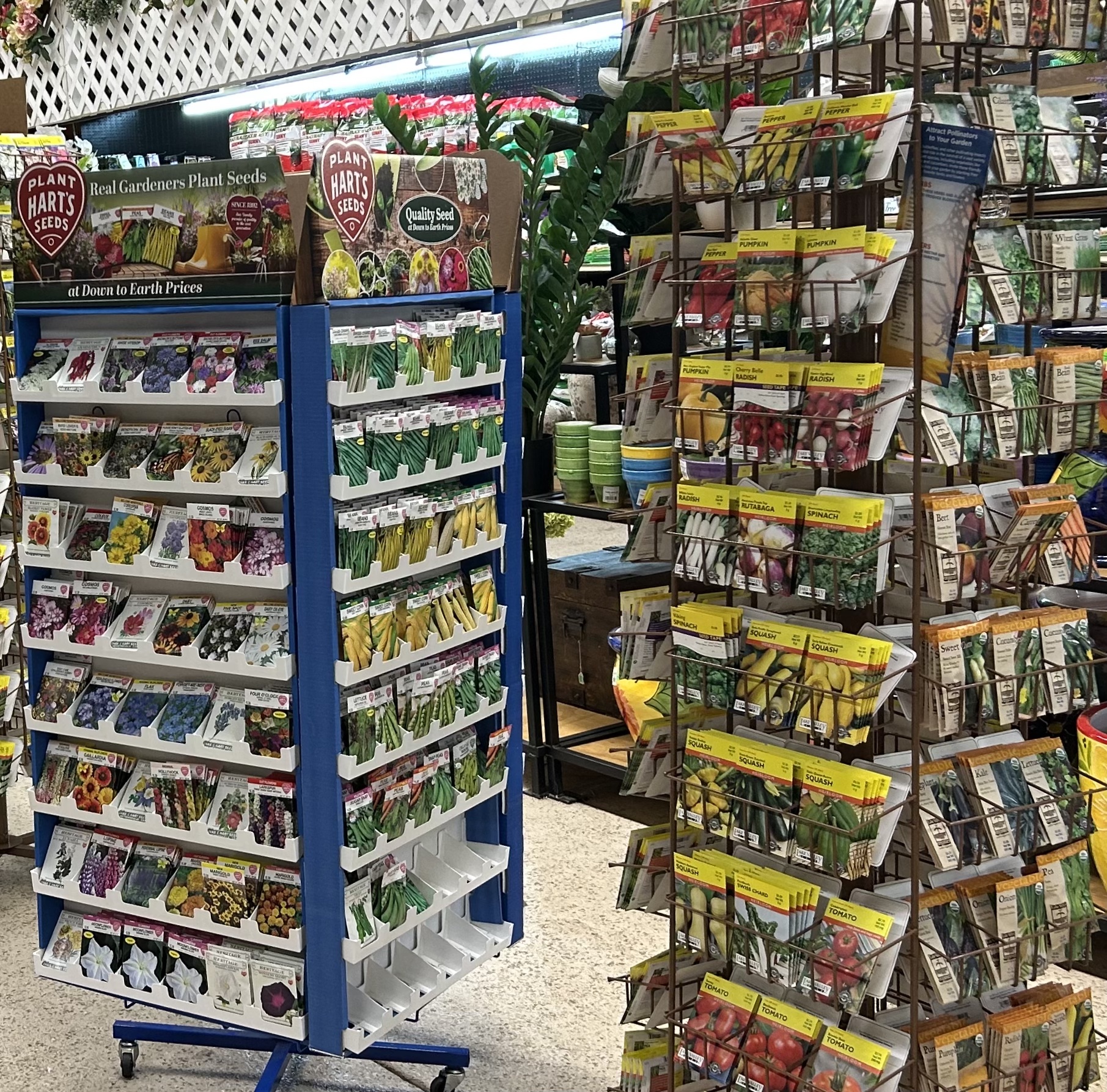 flower and vegetable seeds