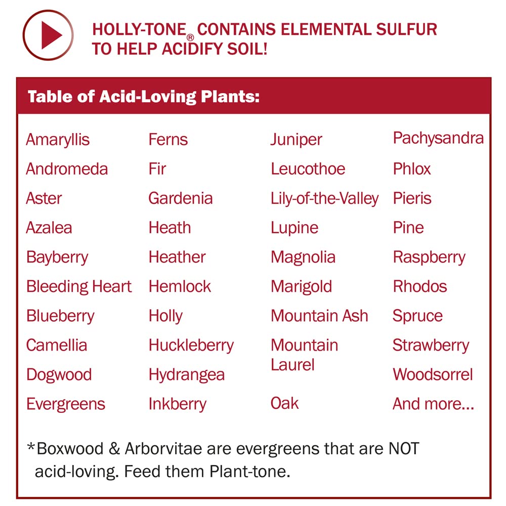 Espoma Organic Holly-Tone 4-3-4