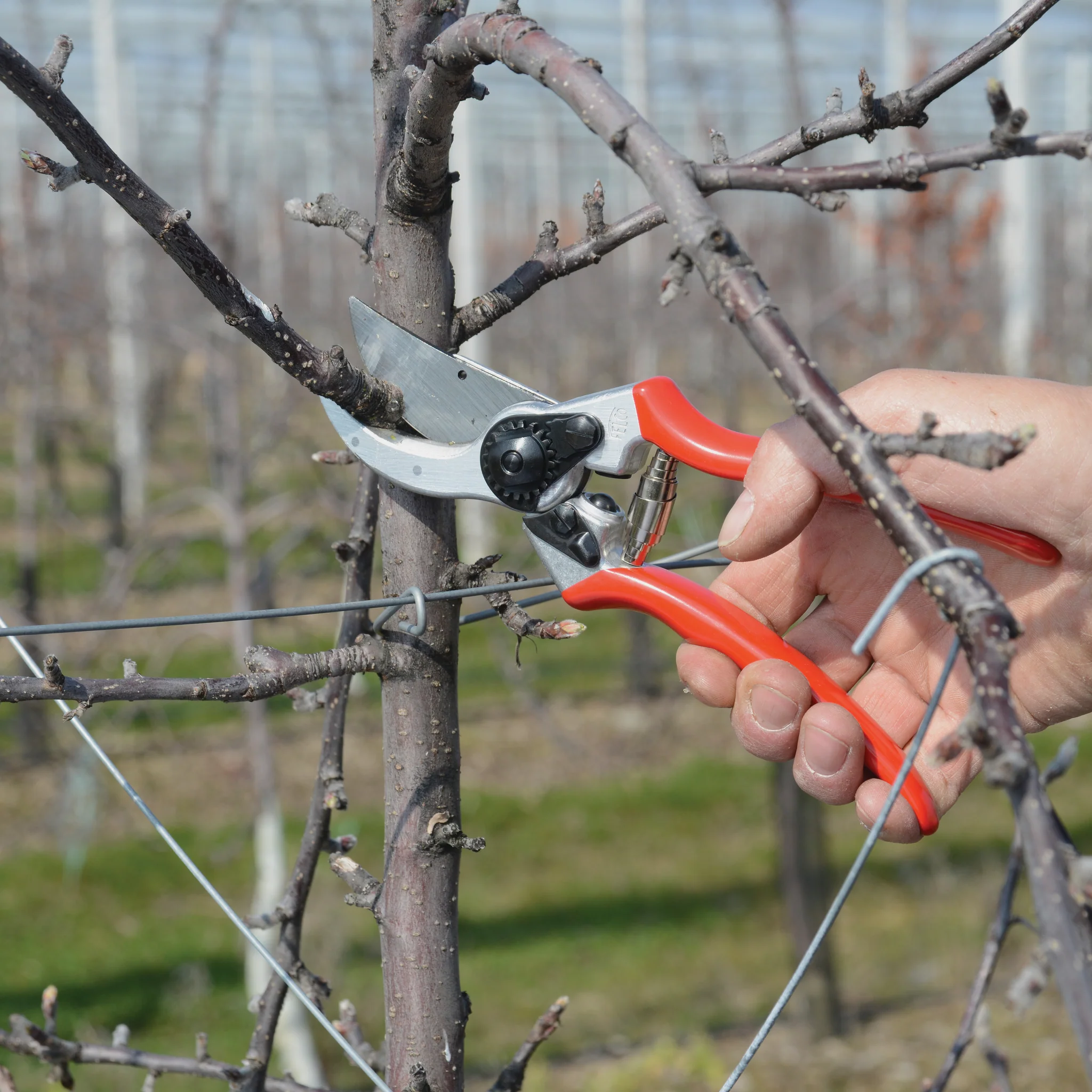 FELCO 2 Pruning Shear