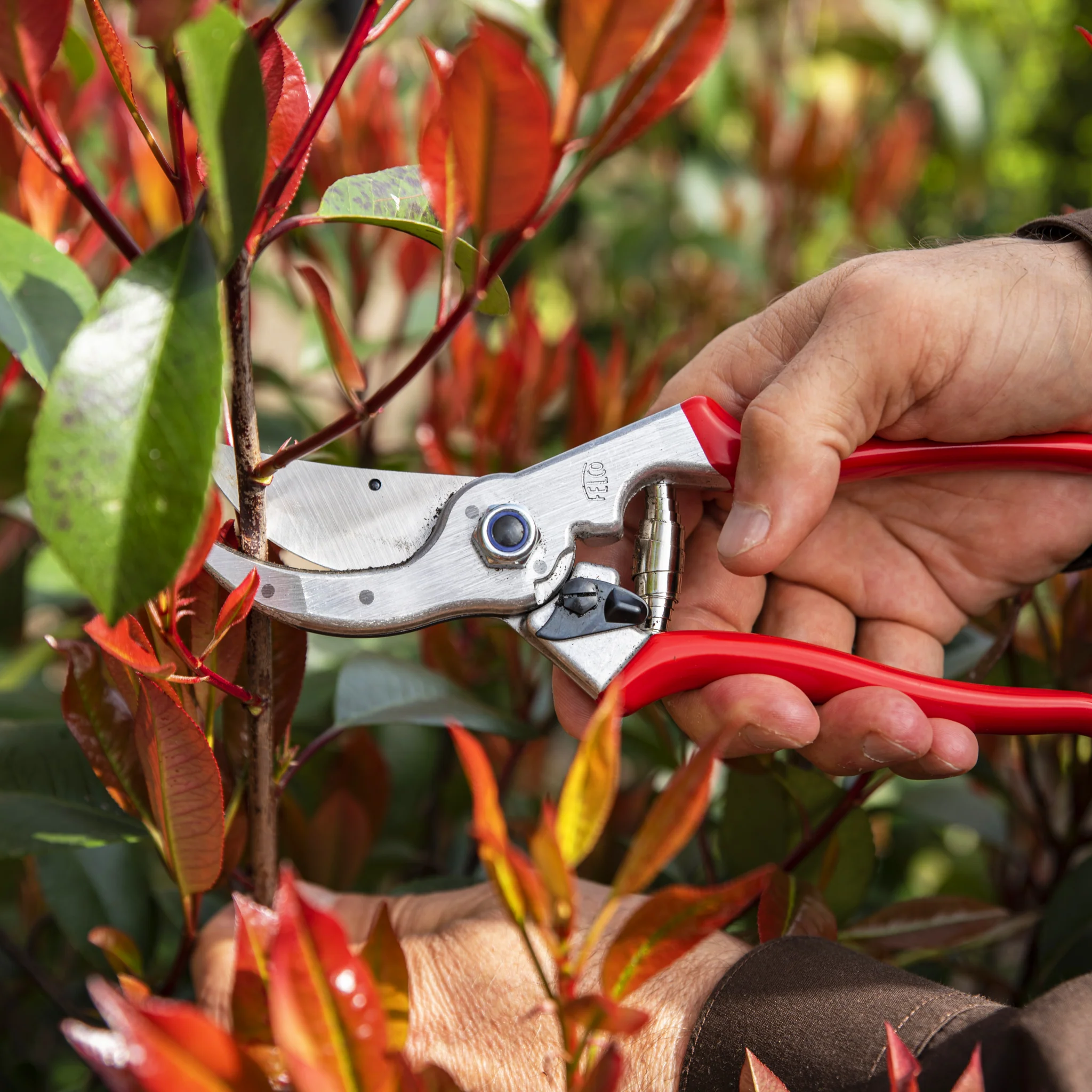 FELCO 4 Pruning Shear