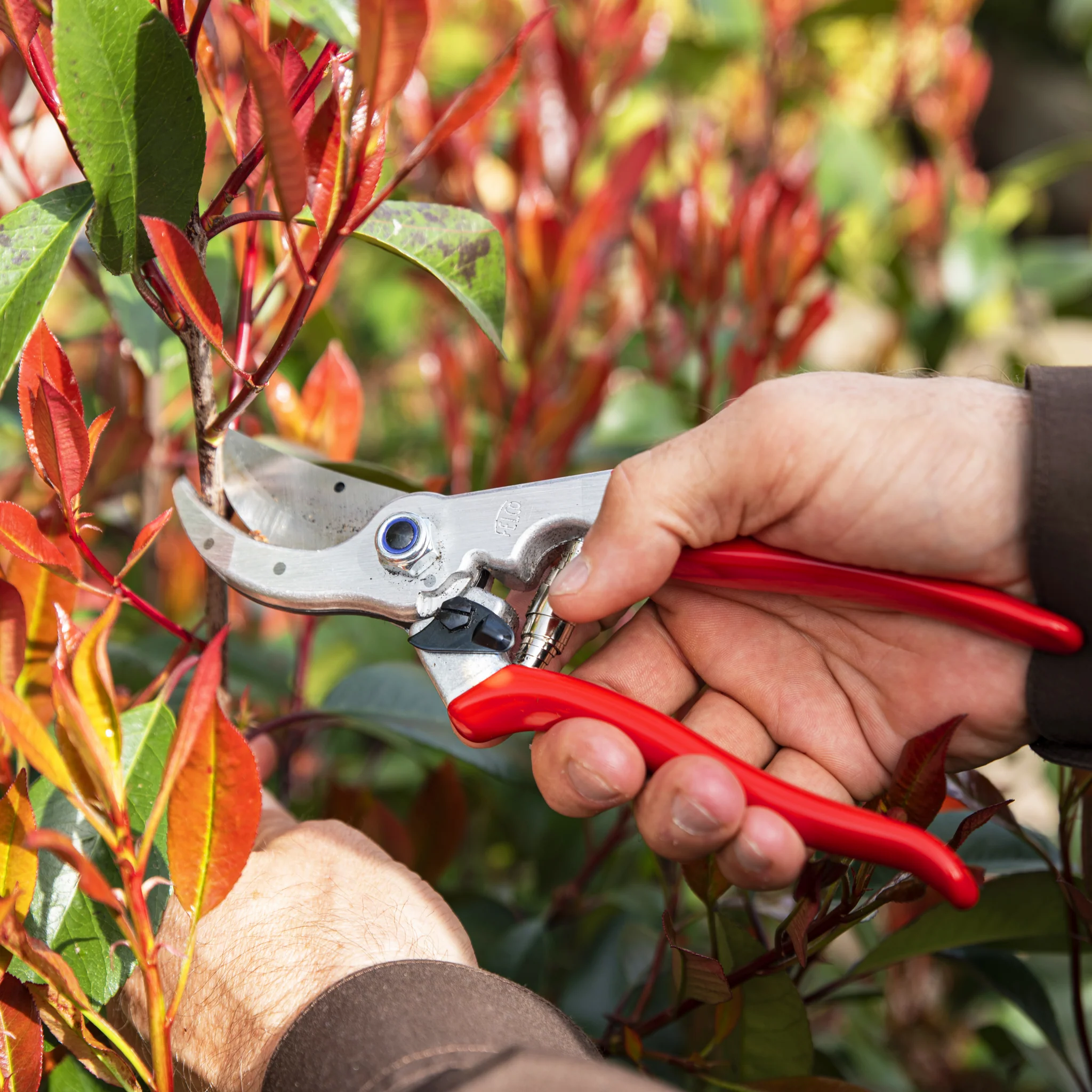 FELCO 4 Pruning Shear