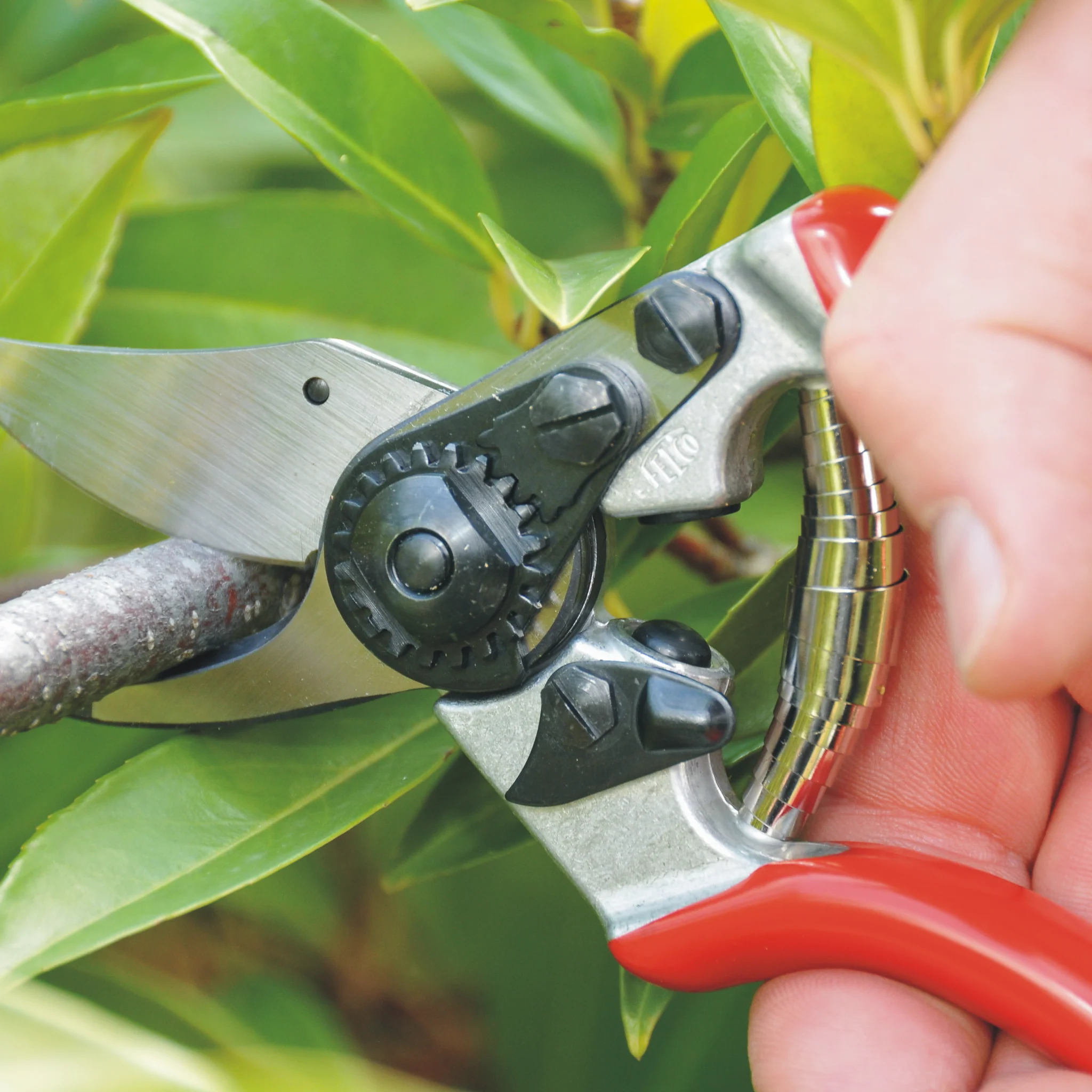 FELCO 6 Pruning Shear