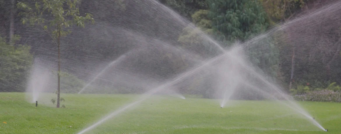 Lawn Care & Maintenance