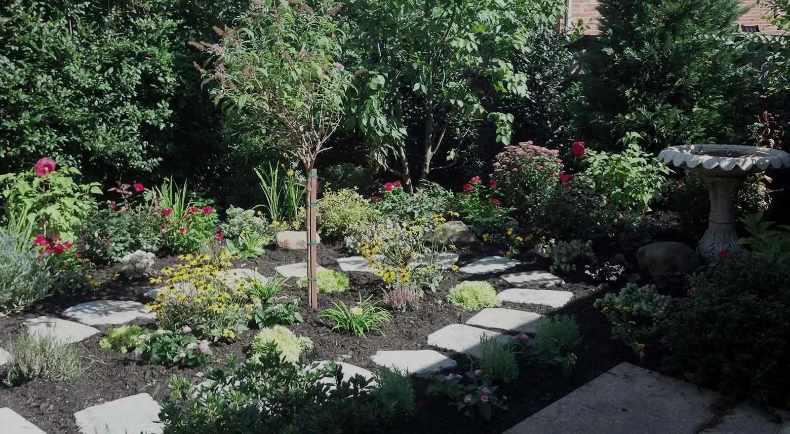 Landscape Design and Installation